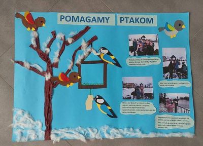 ptaki